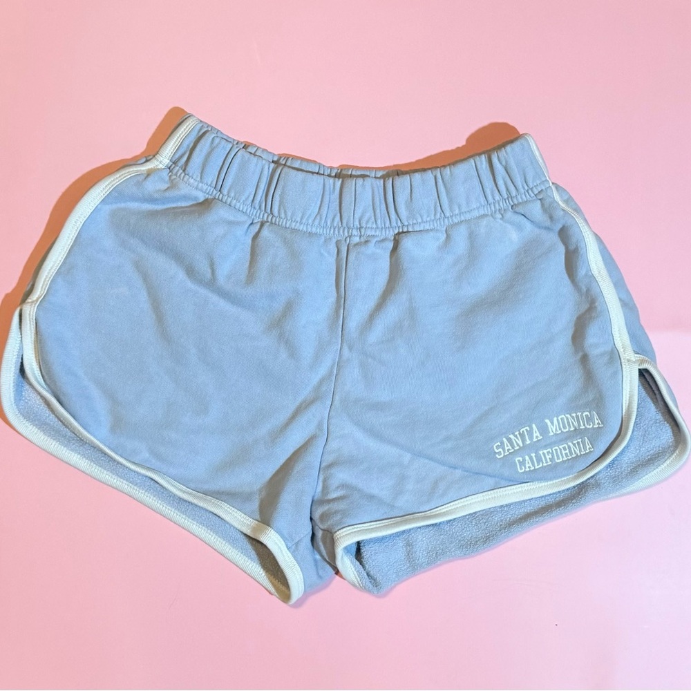 Brandy Melville Blue Athletic Shorts with Elastic Waistband